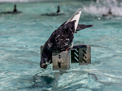 Το 2025 το δεύτερο πιο θερμό έτος για τη...