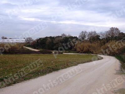 Βάρδα: Ο αγώνας για να συνεχίσει το παιδ...