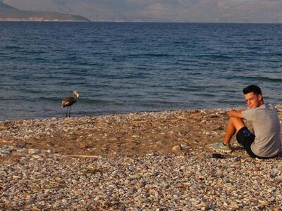 Αχαΐα: Το ... φλαμίγκο που έκανε παρέα σ...