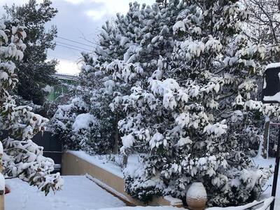 Ο χιονισμένος κήπος της Ελένης Μενεγάκη!...