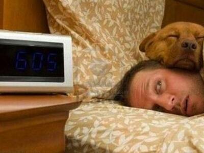 Κοιμάσαι αγκαλιά με το κατοικίδιό σου; -...