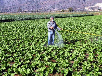 Περιφέρεια Δυτικής Ελλάδας: Ανανέωση πισ...