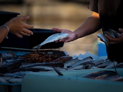 Ακρίβεια με άρωμα θάλασσας: Στα ύψη οι τ...