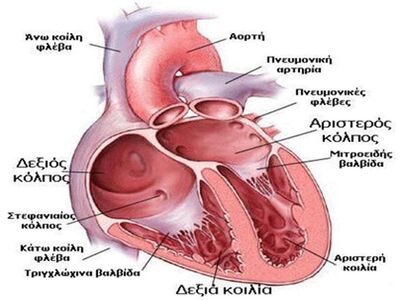 Το 8ο Διεθνές Συνέδριο Καρδιολογίας στην Πάτρα