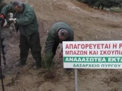 Ηλεία: "Σφραγίστηκε" η Χάλκοβα...