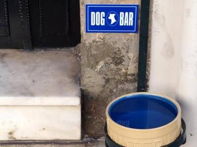Πάτρα: Το bar των ...σκύλων στην Μαιζώνο...