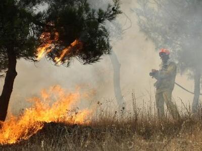Αχαϊα: Υπο έλεγχο η φωτιά σε δάσος στα Σ...