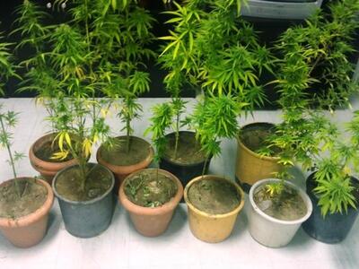 Ηλεία - Κατάκολο: Συνελήφθησαν δύο αδέρφ...