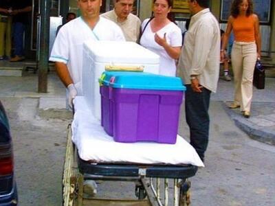 Αερογέφυρες ζωής από την Κρήτη - Μοσχεύμ...