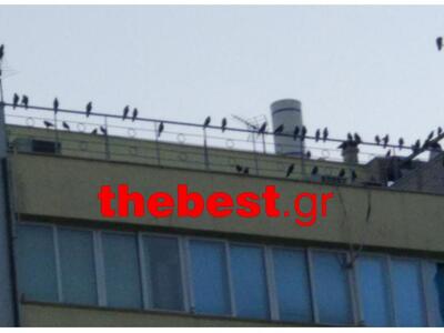 Πάνω από τους ..."εργατοπατέρες&quo...