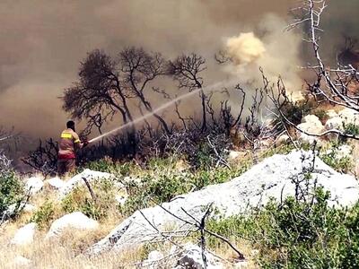 Υπό μερικό έλεγχο η φωτιά στο Περιστέρι Ηλείας