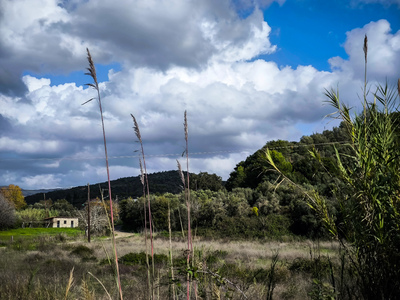 Καιρός: Νέο κύμα κακοκαιρίας στα ανατολι...