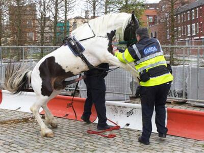 Αστυνομικός θύμα σεξουαλικής επίθεσης αλ...