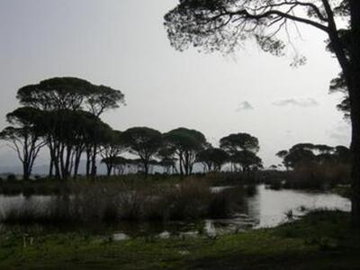 Οικολογική Δυτική Ελλάδα: Υγρότοποι στην...