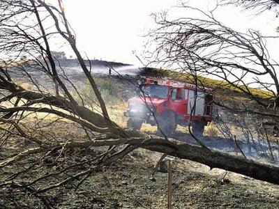 Πάτρα: Yπό πλήρη έλεγχο οι φωτιές στην Κ...
