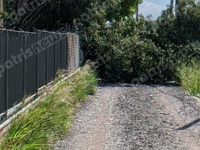 4ο Γυμνάσιο Πύργου: Πτώση δέντρου στην αυλή του σχολείου 4ο Γυμνάσιο Πύργου: Πτώση δέντρου στην αυλή του σχολείου