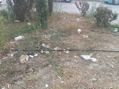 Πάτρα: Γεμάτος σκουπίδια ο δρόμος απέναν...