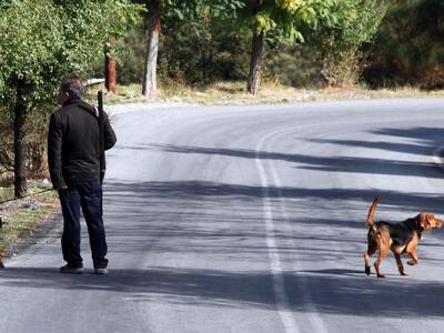 Ζάκυνθος: Εντατικοί έλεγχοι για το παράνομο κυνήγι