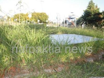 Ναύπακτος: Στην τύχη του το πάρκο κυκλοφ...