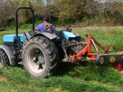 Εγκρίθηκε η χρηματοδότηση για τους επιλα...