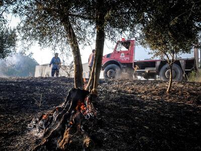 φωτο eurokinissi Περιστερι Ηλείας