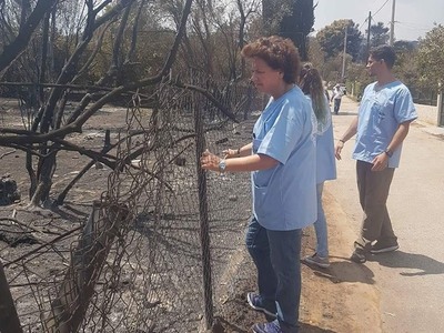 Αθηνά Τραχήλη: Καμία περιοχή της  χώρας ...