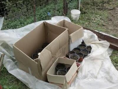 Δυτική Ελλάδα:Μαζί με το μαντρί και το.....