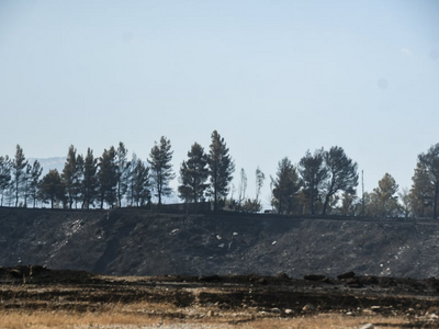 Αχαΐα: Οι πυρκαγιές «ανέβασαν» τη θερμοκ...