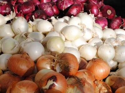 Έκλεψε 100... κρεμμύδια!