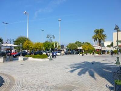 Πάτρα: Πρόβλημα στους φοίνικες της Τριών...