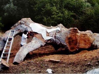 Σοκ στα Τρίκαλα: Νεκρός 42χρονος που κατ...