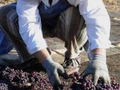 Αιγιάλεια: Μέσα στον Νοέμβριο η πληρωμή ...