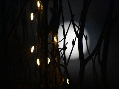 Φεγγάρι του Χιονιού: Πότε κορυφώνεται η ...