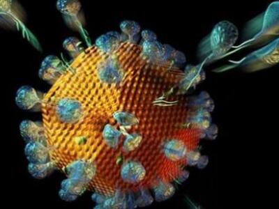 Λιγότερο μεταδοτικές οι μεταλλάξεις του AIDS