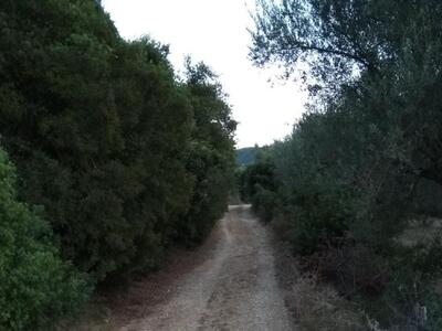 Δυτική Αχαΐα: "Απροσπέλαστοι δρόμοι...