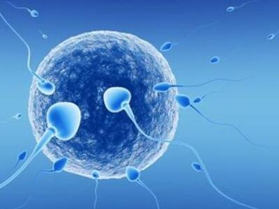 Επιτροπή του ΕΟΠΥΥ για εξωσωματική γονιμ...
