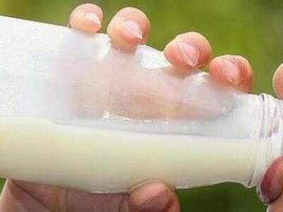 Μια έρευνα που ανατρέπει όσα γνωρίζαμε για το γάλο