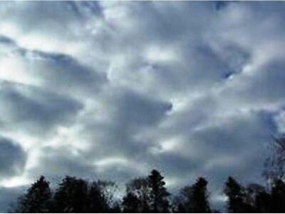 Hλεία: Θυελλώδεις άνεμοι 9 μποφόρ στην Ανδρίτσαινα