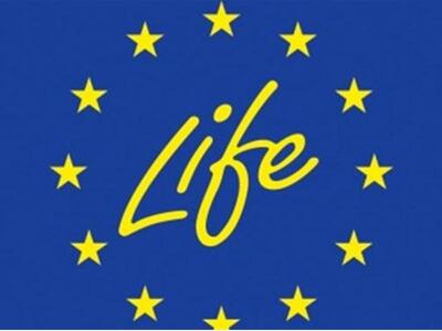 Eορτασμός των 20 χρόνων του Ευρωπαϊκού Π...