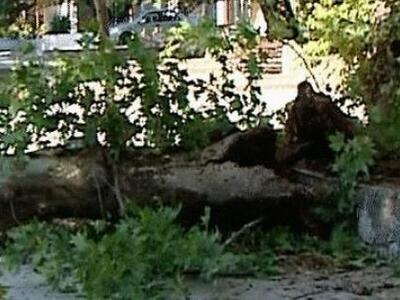 Τραγωδία στη Φθιώτιδα, νεκρό ένα 9χρονο ...