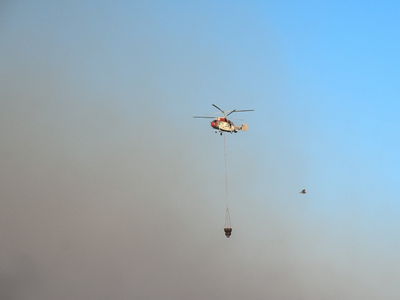 Ηλεία: Φωτιά σε αγροτοδασική έκταση στο Ξηροχώρι