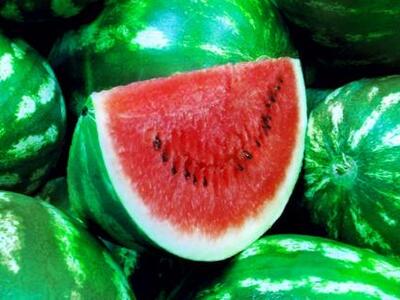 Ηλεία: Με θετικό πρόσημο κλείνει η σεζόν...