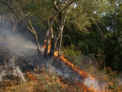 Υπό έλεγχο πυρκαγιά στο χωριό Λιθακιά Ζακύνθου