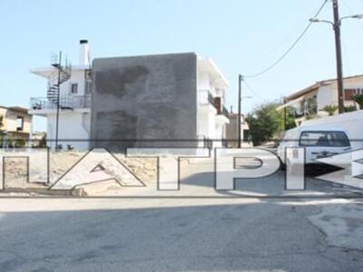 Ηλεία: «Ψάχνουν» νερό για να δροσιστούν ...
