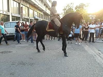 Έκαναν παρέλαση αλόγων στο Μεσολόγγι! Εν...
