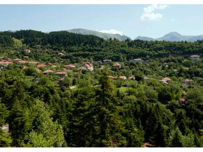 Φωτογραφία Αλέξανδρος Αβραμίδης