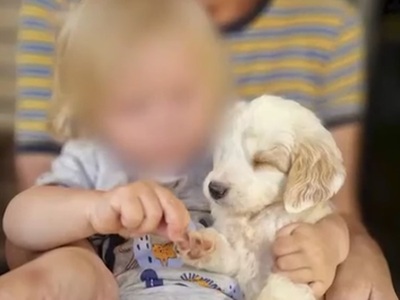 Θρήνος για τον μικρό Λίο: Σήμερα το τελε...