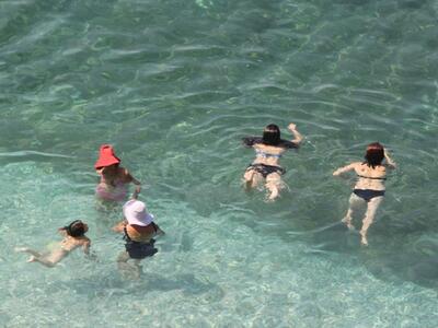 Σε κίνδυνο οι ιππόκαμποι της Μεσογείου