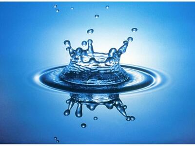 Πρόγραμμα Κατάρτισης εξ Αποστάσεως