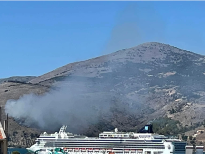 Φωτιά σε δασική έκταση στην Κεφαλονιά - ...